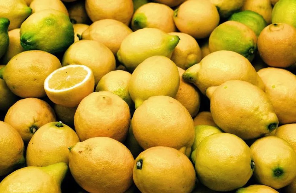 El limón de exportación, en crisis.