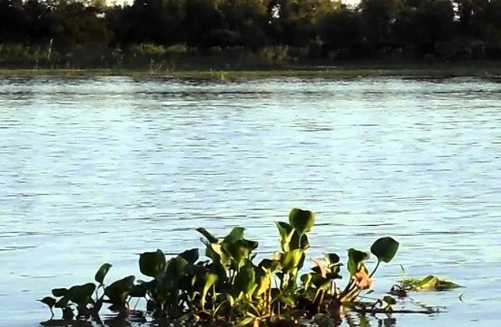 Río Colastiné: El cuerpo fue hallado este martes a la altura del acceso al puerto de Santa Fe. (Archivo)