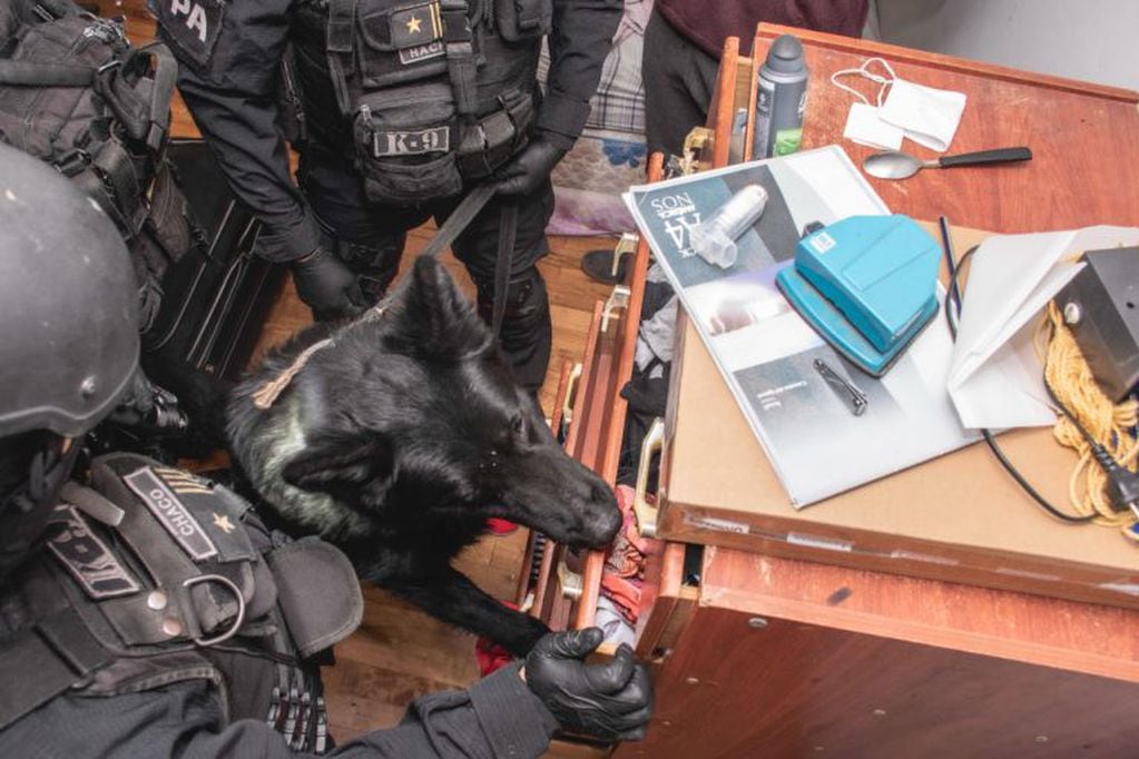 La Policía trabajó con un perro detector de drogas sintéticas.