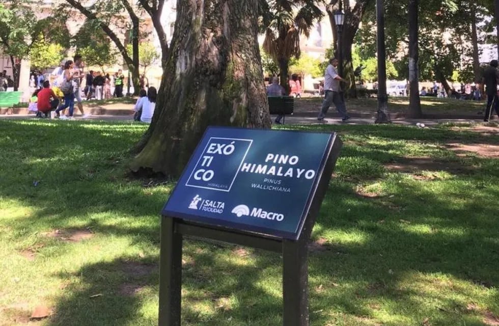 La plaza 9 de Julio ahora tiene carteles con los nombres de los árboles
