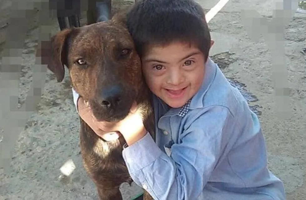 Mataron al perro guía de un niño con Síndrome de Down.