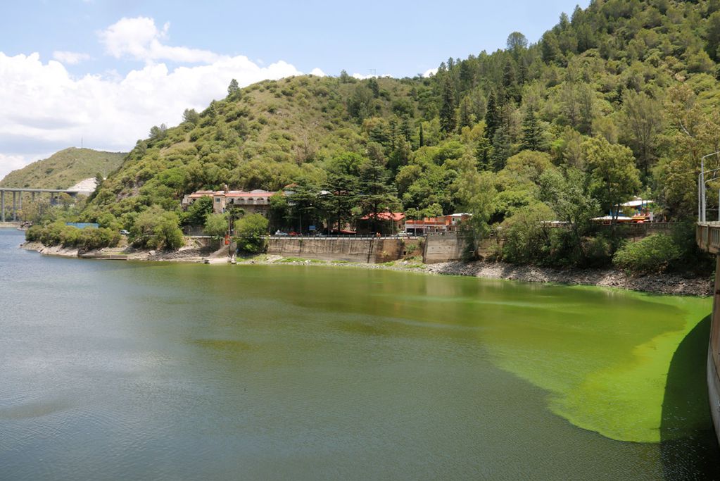 Algas en el embudo del Dique San Roque, Carlos Paz.  Contaminación en el lago San Roque: advierten que puede ser tóxico para la salud.  (Yanina Aguirre)