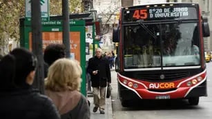 Este lunes será normal el servicio de transporte urbano en Córdoba (Archivo/Lavoz).