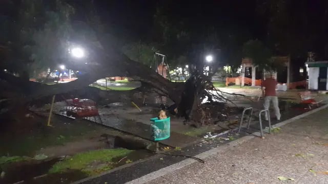 Voladuras de techos, arboles caídos, anegamientos y nuevos evacuados en Gualeguaychú tras la tormenta