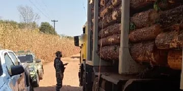 Desmantelan una carga de apeo ilegal en Caraguatay