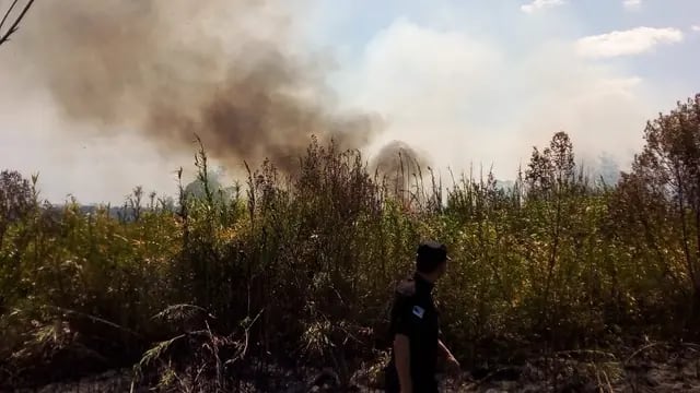 Incendio en cercanías al INTA llama a concientizar sobre la peligrosidad del fuego en la provincia