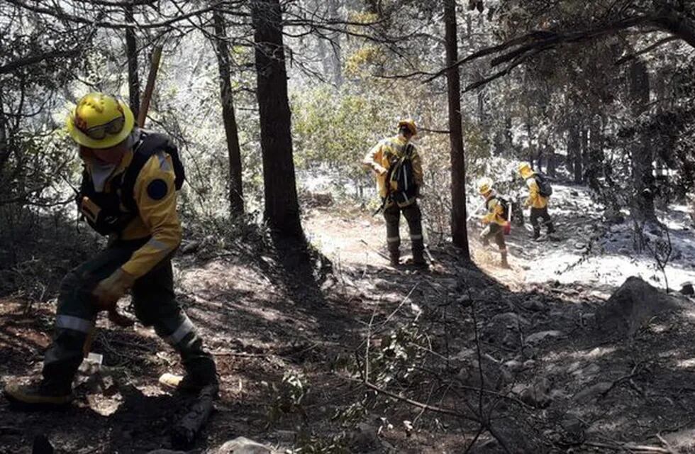 Debido a la sequía, muchos focos de incendio se mantienen activos. Twitter @AgroRuralNotici