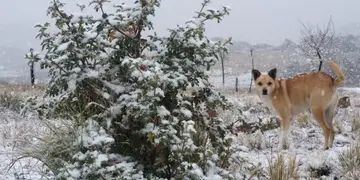 Nieve en el refugio "Los Soles" en el cerro Champaquí.