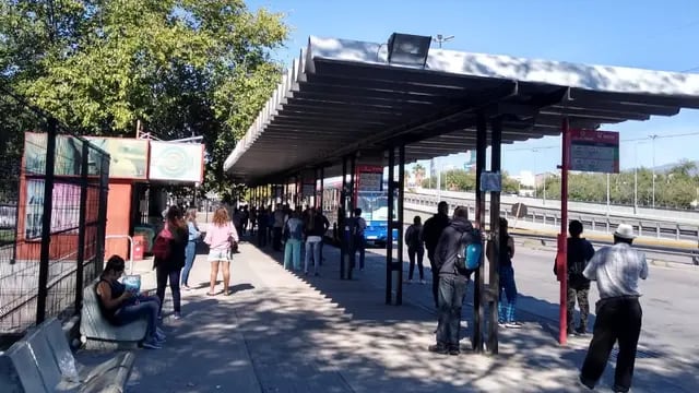 PASO 2021 Mendoza: Transporte sumará frecuencia para ir a votar a escuelas alejadas