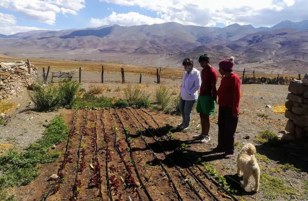 La Fundación Alfarcito instala riego por goteo a productores de la Puna