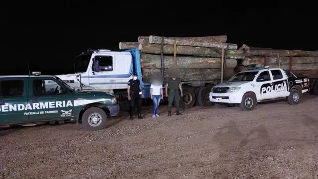 San Vicente: incautaron un camión con madera presuntamente robada