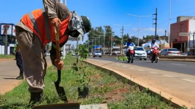 Travesía Urbana en Posadas: convocan a la población a plantar árboles