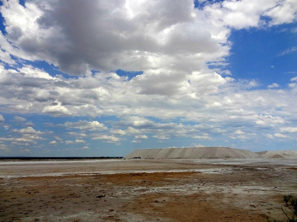 El desierto blanco de San Luis: Salinas del Bebedero