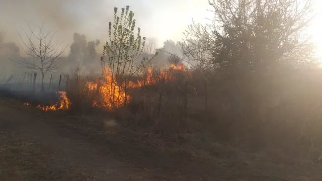 Incendio en San José
