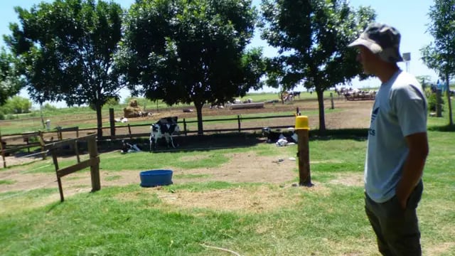 Leonardo Alloatti, productor tambero agroecológico, de Colonia Tacurales.