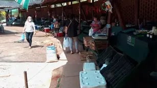 A causa de la sequía productores perdieron cosechas por lo que dejaron de asistir a la Feria Franca en Eldorado