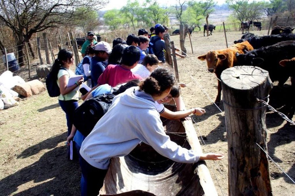 Como parte de una recorrida turística, es posible la visita a emprendimientos ganaderos de la zona de los Valles de Jujuy.