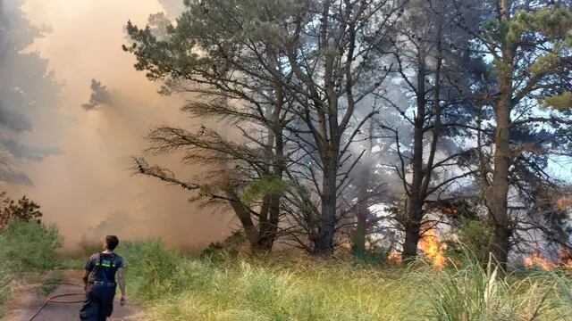 Incendio forestal en El Marquesado