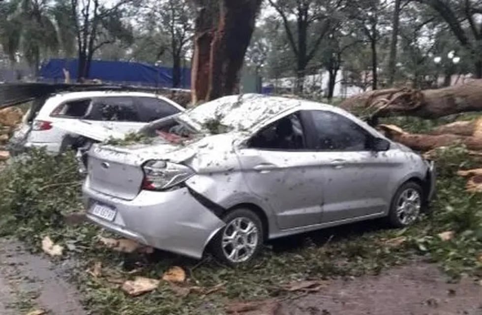 Un temporal provocó voladuras de techos y caídas de árboles en Jujuy.