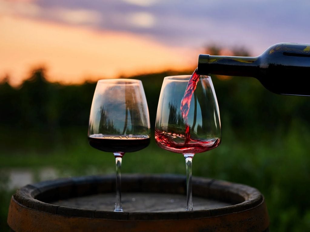 “Hola Feria”: cuándo y donde será el encuentro de vino con productores del país