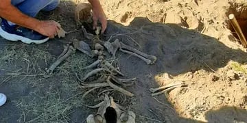 Esqueleto encontrado cerca de Rio V en San LuisEsqueleto encontrado cerca de Rio V en San Luis