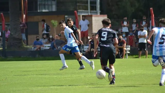 Juveniles de Newell's