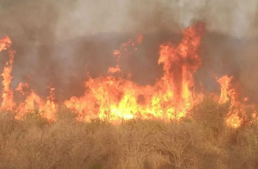 Incendio en La Población.