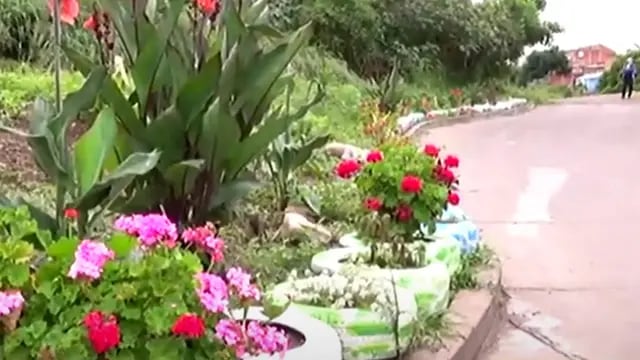 Una vecina salteña transformó un terreno baldío en un jardín paradisíaco