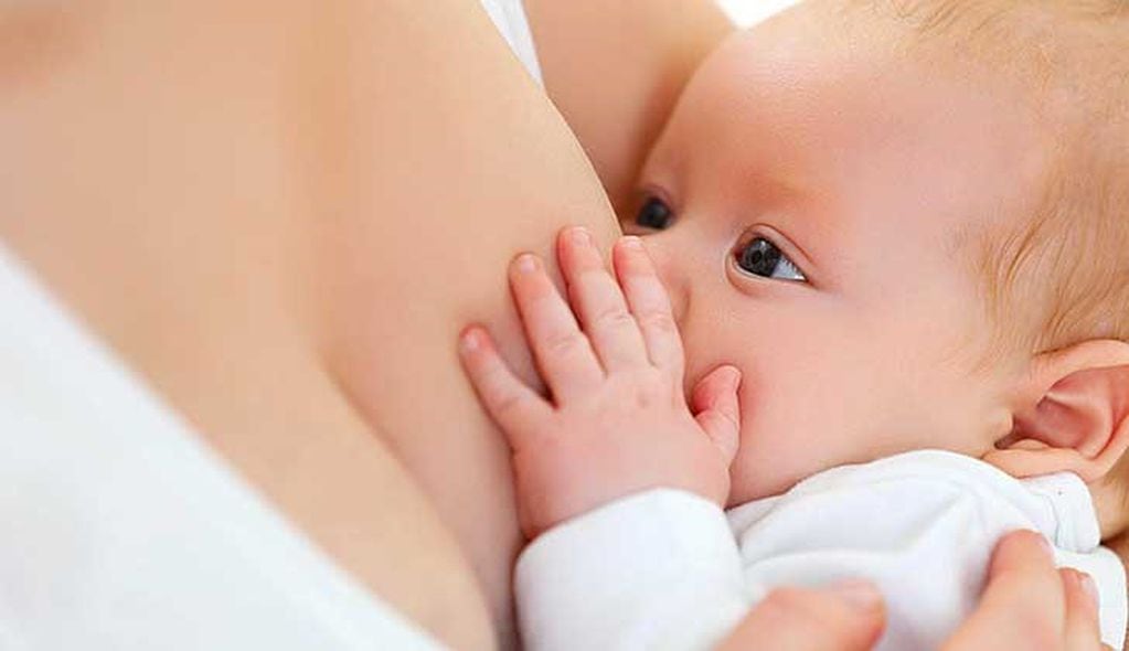 La lactancia debe comenzar en la primera hora de vida, debe hacerse "a demanda".