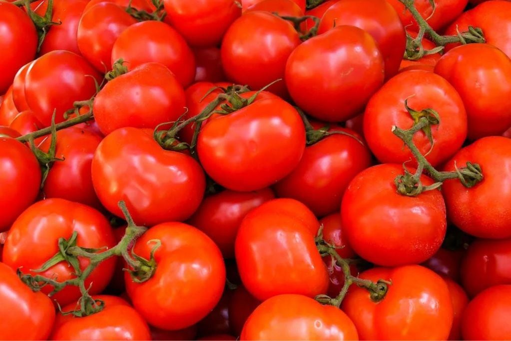 El tomate tiene muchos beneficios que ayudan a mejorar la salud.