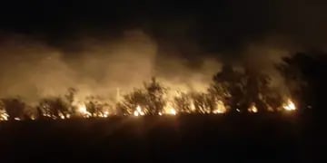 Se mantienen los focos de incendios forestales en la provincia de Misiones