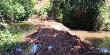 Denuncian peces muertos y contaminación en el arroyo Caraguatay