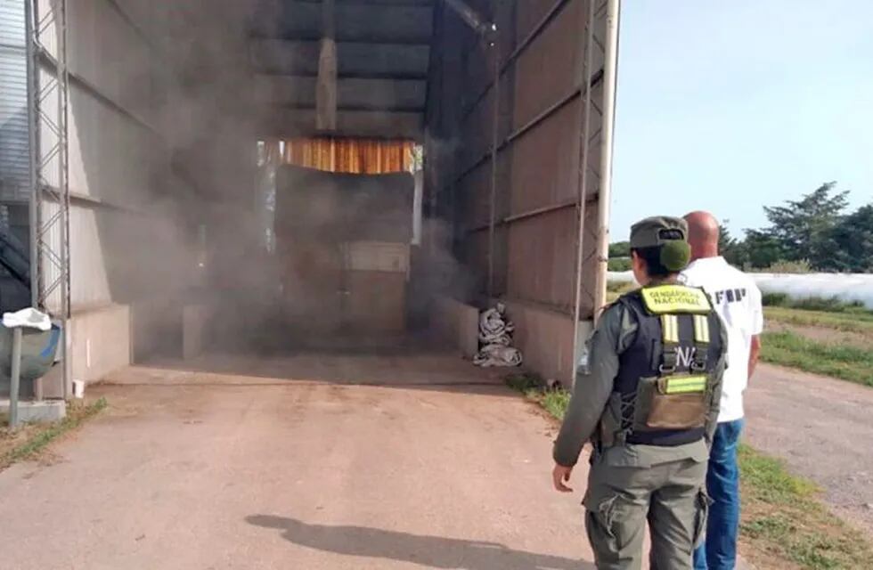 Gendarmería Nacional secuestró 4,5 toneladas de soja que no estaban declaradas. (Prensa Gendarmería)