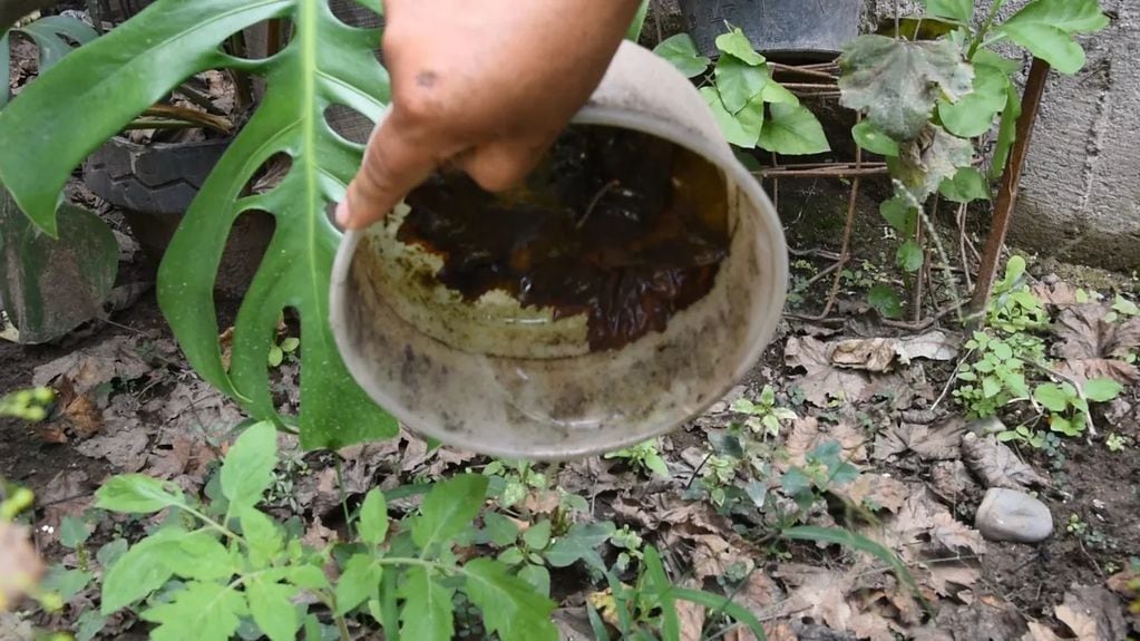 Dar vuelta recipientes con agua, una de las medidas para prevenir que el mosquito del dengue se desarrolle.