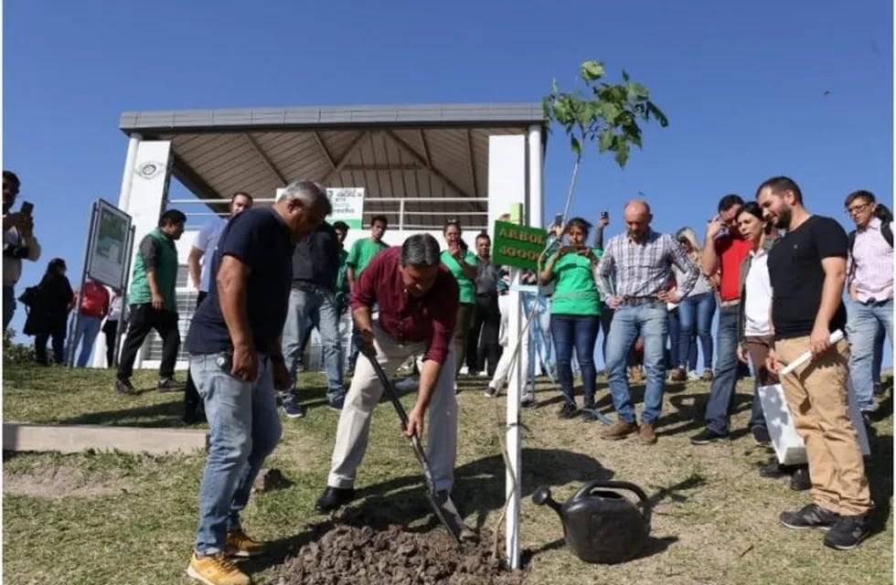Capitanich fue el encargado de plantar el árbol 40.000 en la ciudad. (Prensa Municipalidad de Resistencia)
