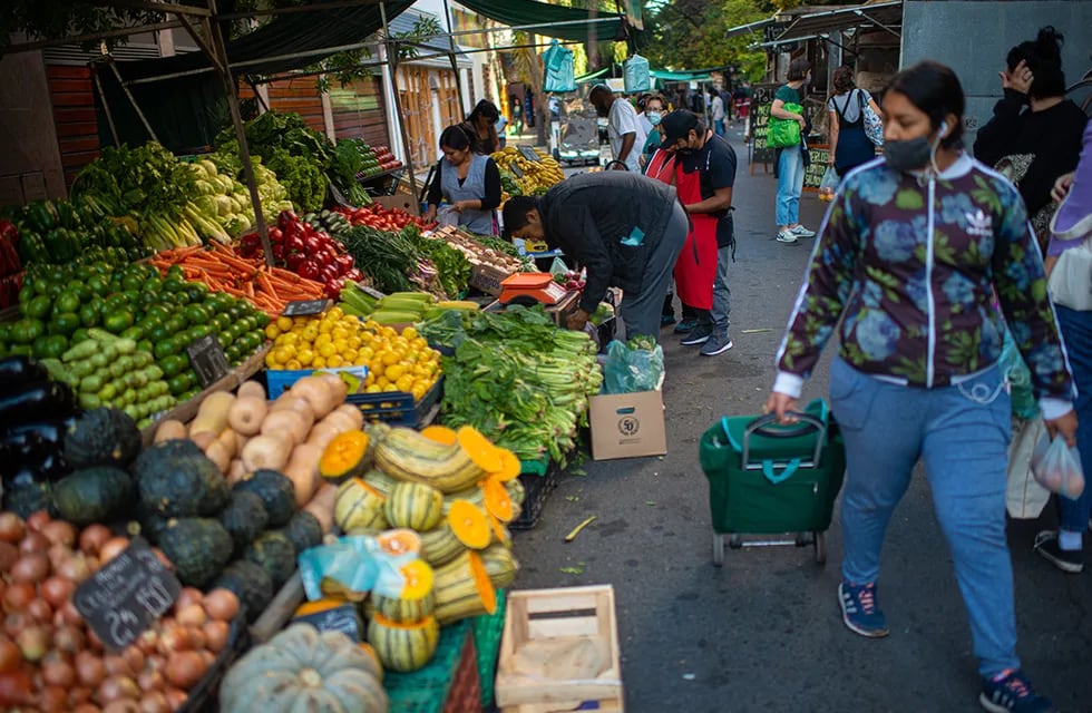 Feria de verduras y frutas de calle Crisol, en el Barrio de Nueva Córdoba. (Pedro Castillo / La Voz)