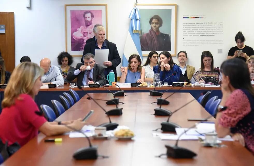 Las comisiones de Legislación del Trabajo y de Mujeres y Diversidad de Diputados abrieron el debate sobre licencias parentales. Foto: HCDN.