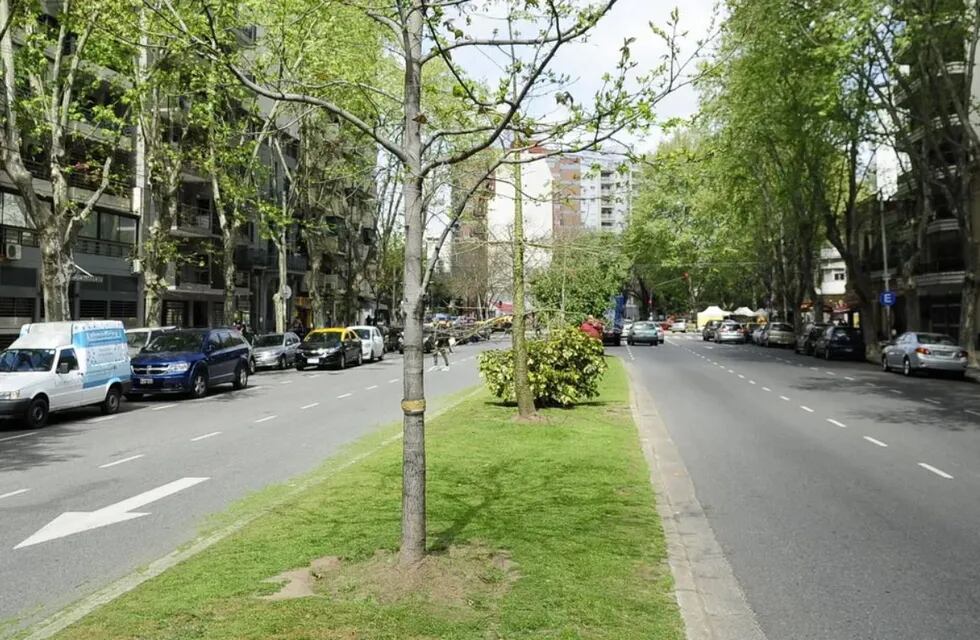 Caballito: transformarán la avenida Honorio Pueyrredón en un corredor verde