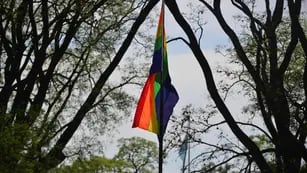 La Bandera LGBT.