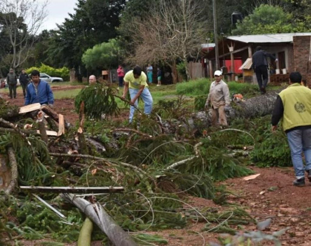 Luego del temporal en Misiones comenzaron las tareas para restablecer los postes de luz caídos y quitar los árboles de los caminos.