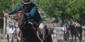 clasificatoria de destrezas criollas
