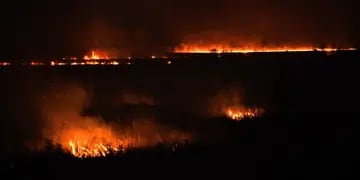 Incendios en la ruta del puente Rosario-Victoria