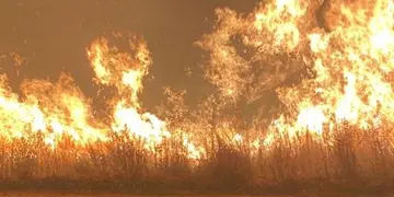 Incendios en Corrientes