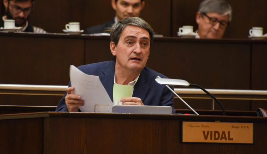 Alejandro Vidal, de la UCR, en sesión de Diputados (Web).