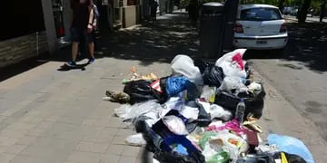 Basura en las calles de Córdoba