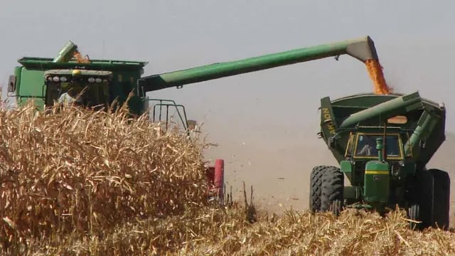 En maíz, las labores de cosecha se encarecieron 59 por ciento en promedio (La Voz / Archivo).