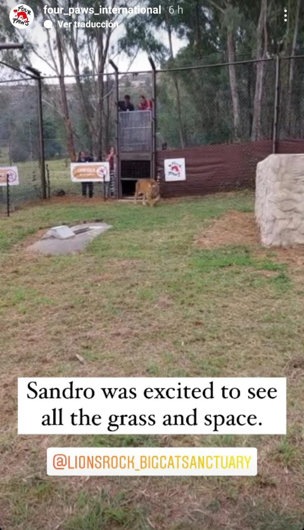 Traducción: "Sandro está entusiasmado por ver el lugar y el pasto".