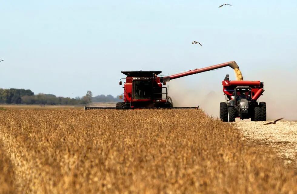 FILE PHOTO: Soybean plants are harvested at a field in the city of Chacabuco, Argentina, April 24, 2013.   REUTERS/Enrique Marcarian/File Photo