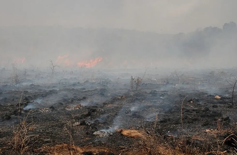 Los incendios forestales son un drama en las sierras cordobesas.