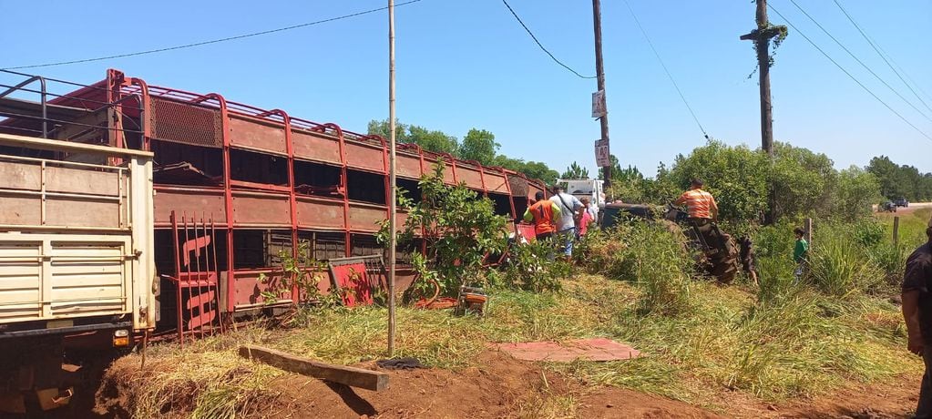 Loreto: un colectivo chocó contra vacunos sobre la ruta.